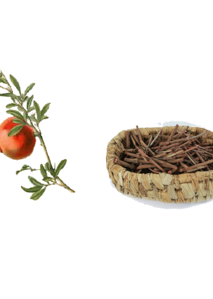 PUNICA GRANATUM (POMEGRANTE)